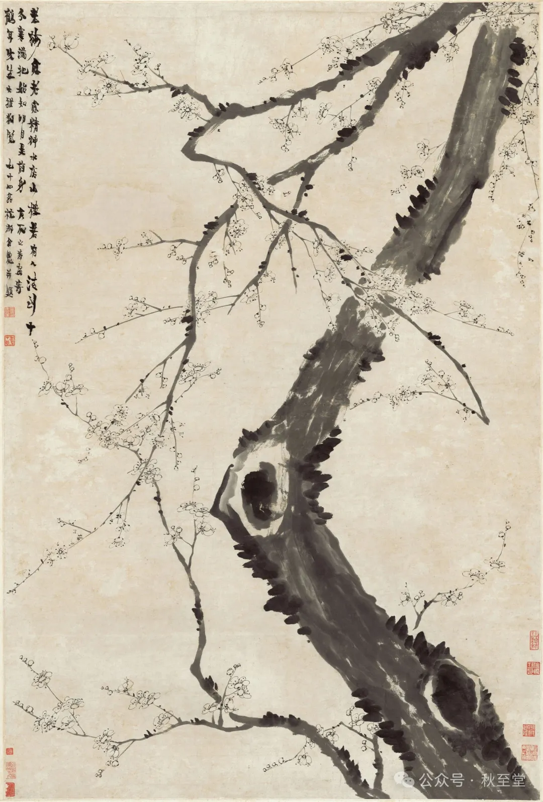 经方视角下看六淫,浅谈后世发展及补遗
